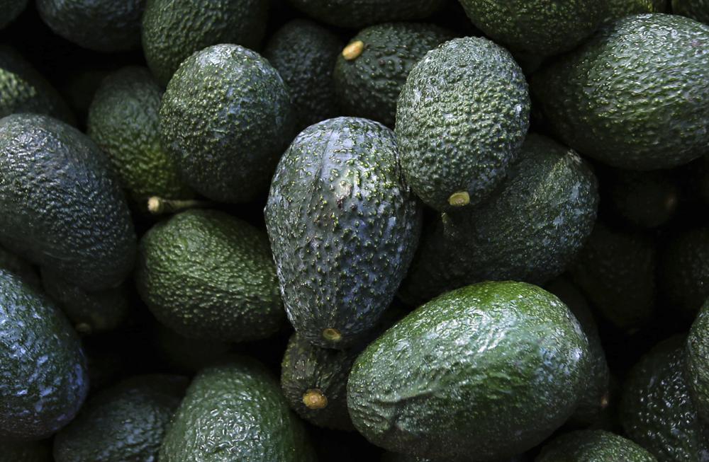 aguacates