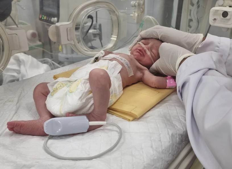 Bebe Gaza