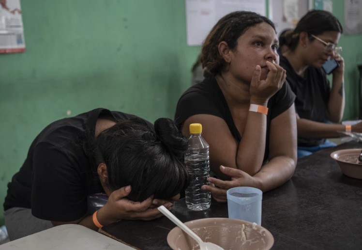 Tactica migrantes